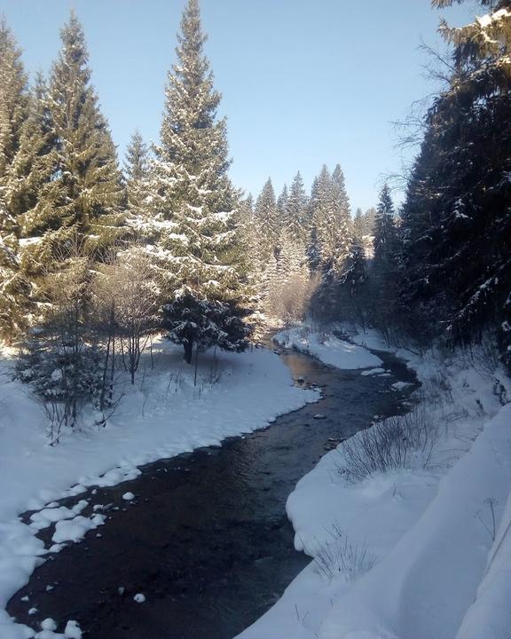 Gasthaus & Pension Zum Hiddenseer